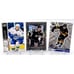 Entire Hockey Card collection - 332 cards, Young Guns, Auto's, #'d, Relics, RC!