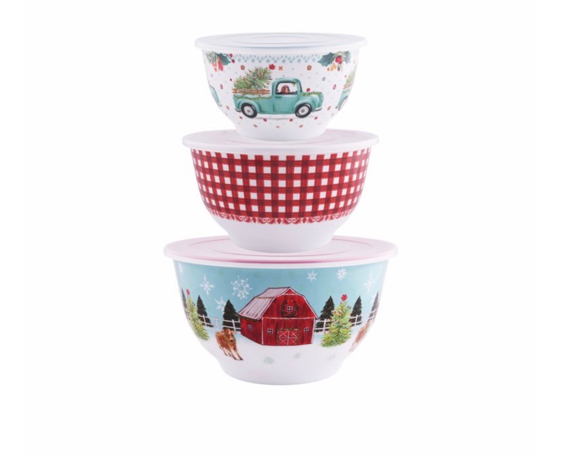 New Pioneer Woman Holiday Barn Melamine Serving Bowl