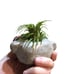 ****SOLD**** plant holder clay rock trol