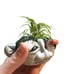 ****SOLD**** plant holder clay rock trol
