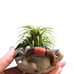 ****SOLD**** plant holder clay rock trol