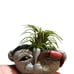 ****SOLD**** plant holder clay rock trol