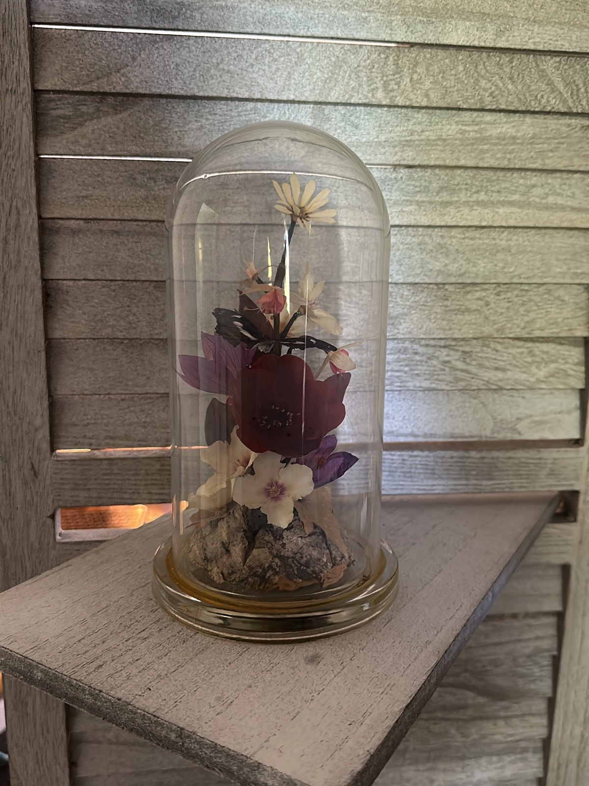 1 of 1 Vintage Michael R. Curzon Captive Garden - Butterfly Garden