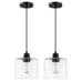 Vintage Hanging Pendant Light Black Finish Handblown Clear Seeded Glass 2 Pack