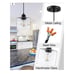 Vintage Hanging Pendant Light Black Finish Handblown Clear Seeded Glass 2 Pack