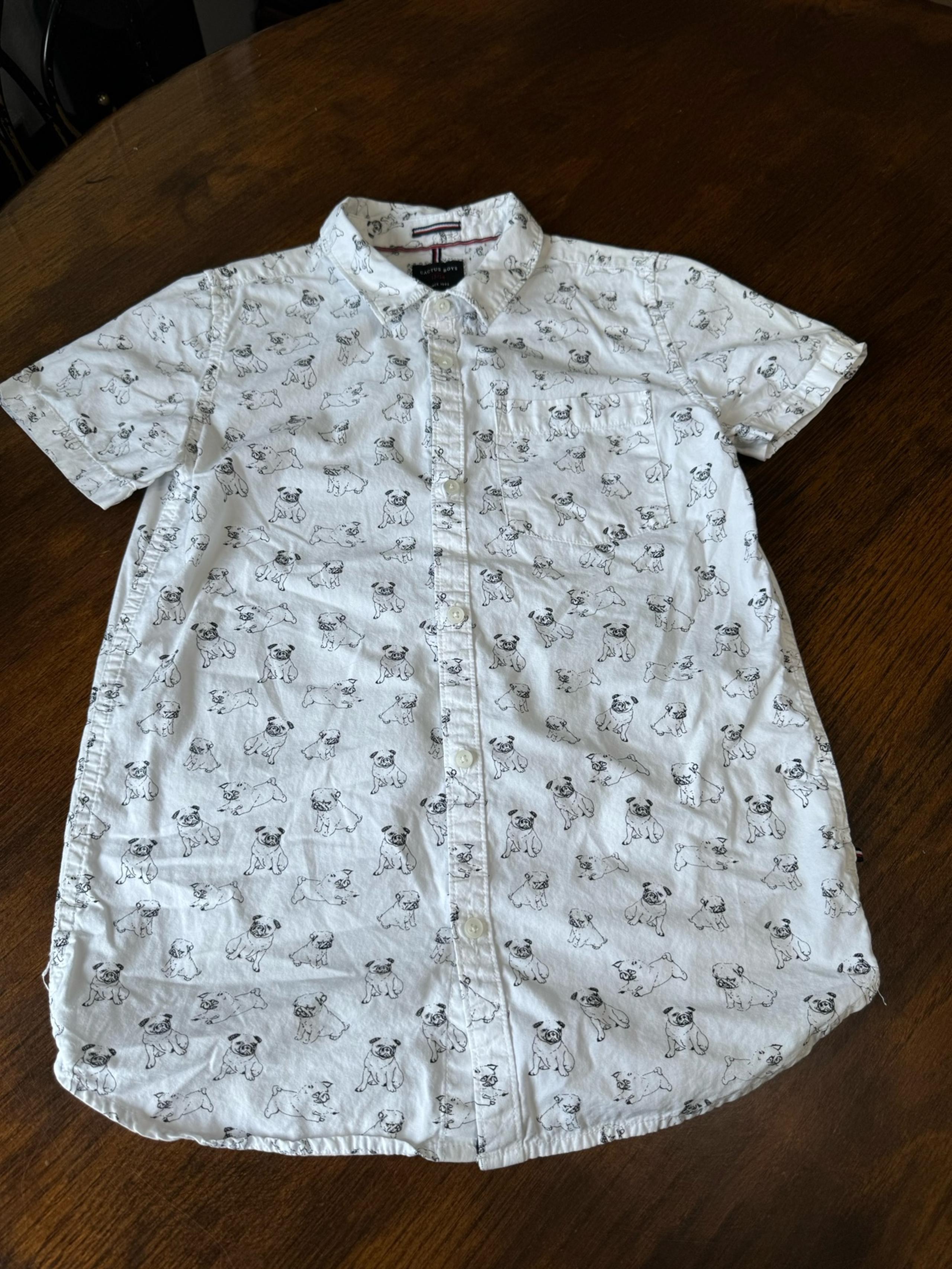 Cactus Boys Pug Button Front Collared Dress Shirt, size 13/14