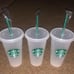 10 Blank Starbucks cups