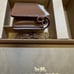 NWT Coach mini wallet on a chain+gold chain strap