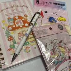 Sanrio Stationery Bundle - B