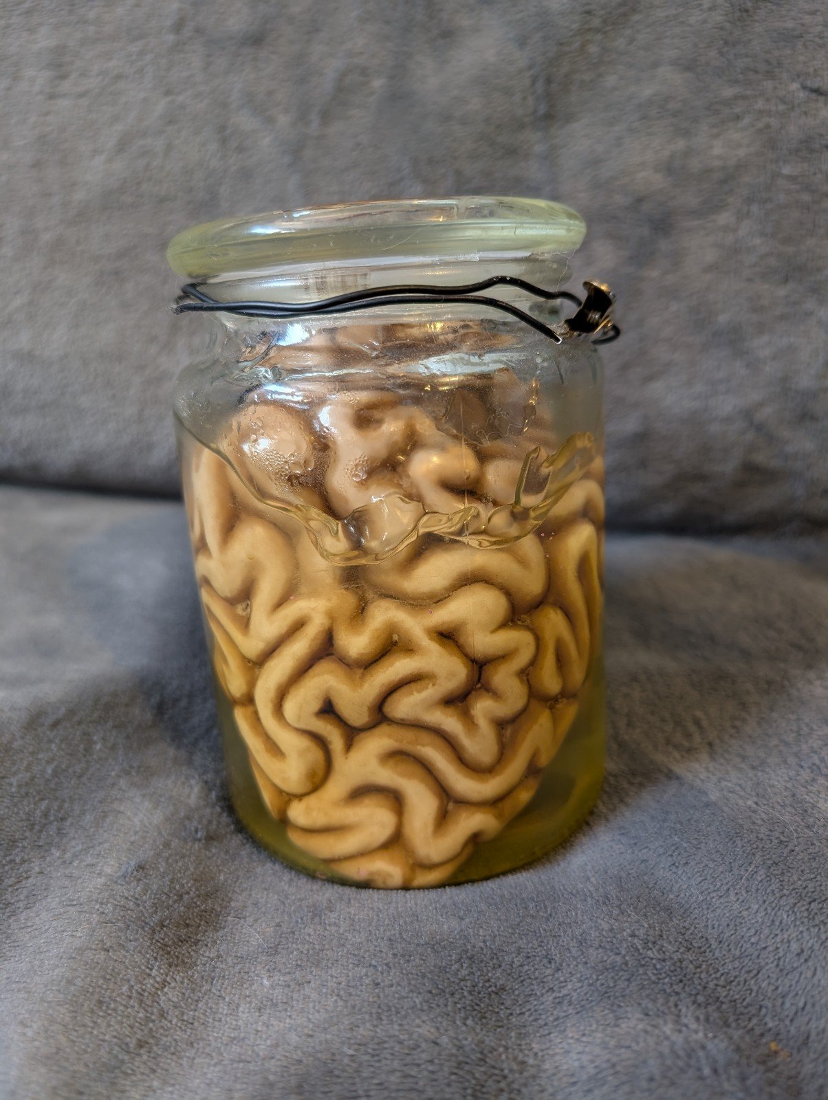 Brain In Glass Glass Jar