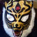 Tiger Mask Wrestling Mask