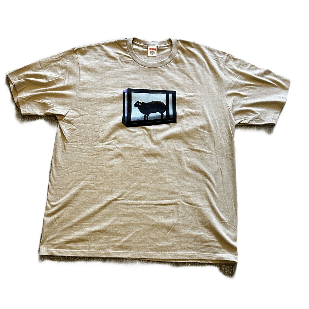 SUPREME - Black Sheep - Damien Hirst Tee - Khaki - XXL