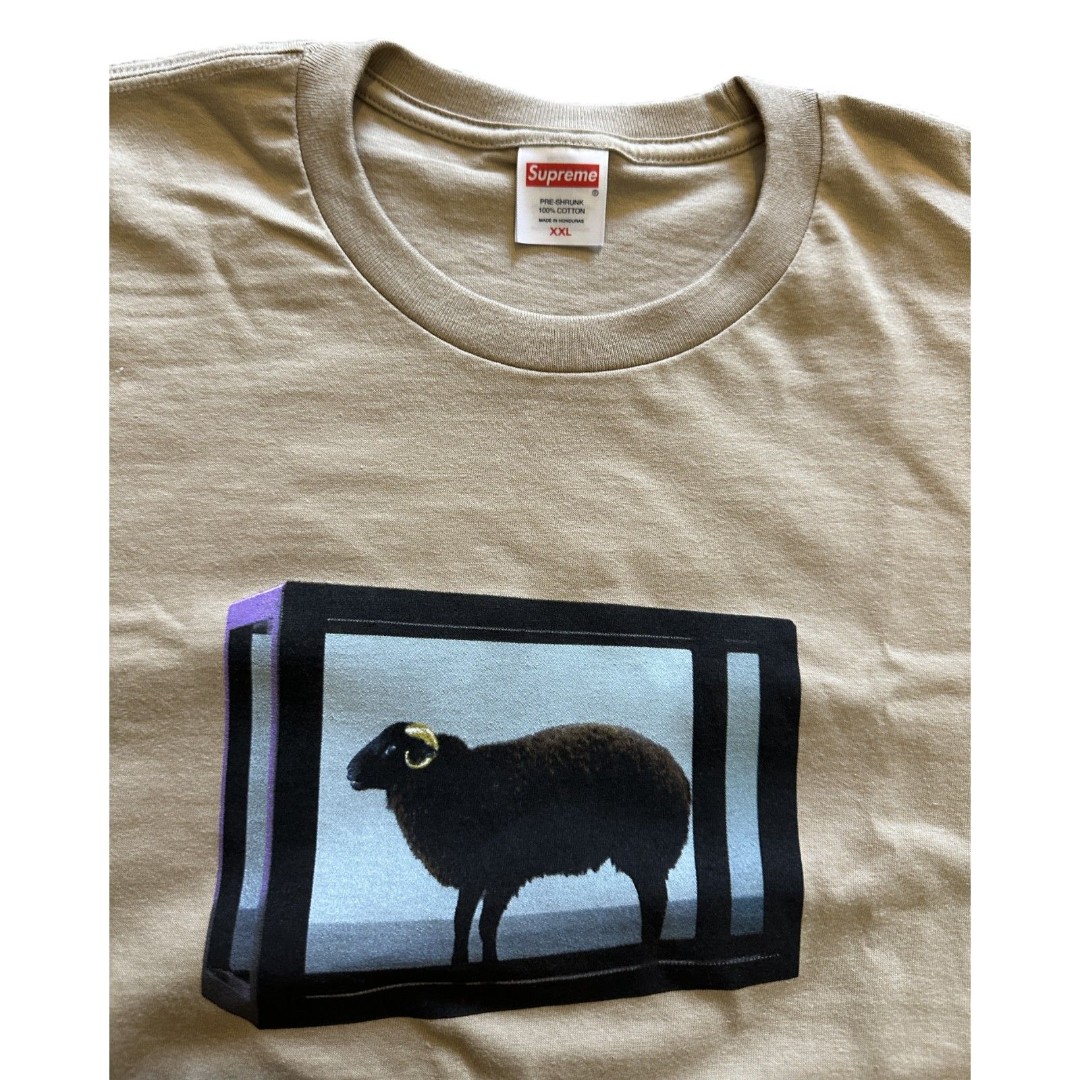 Tシャツ・カットソー Supreme x Damien Hirst T-Shirt Khaki Buy Supreme x Damien Hirst Tee 'Khaki' - SS25T5 KHAKI | GOAT