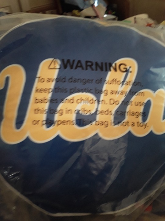 UCLA Official College Logo Pillow New