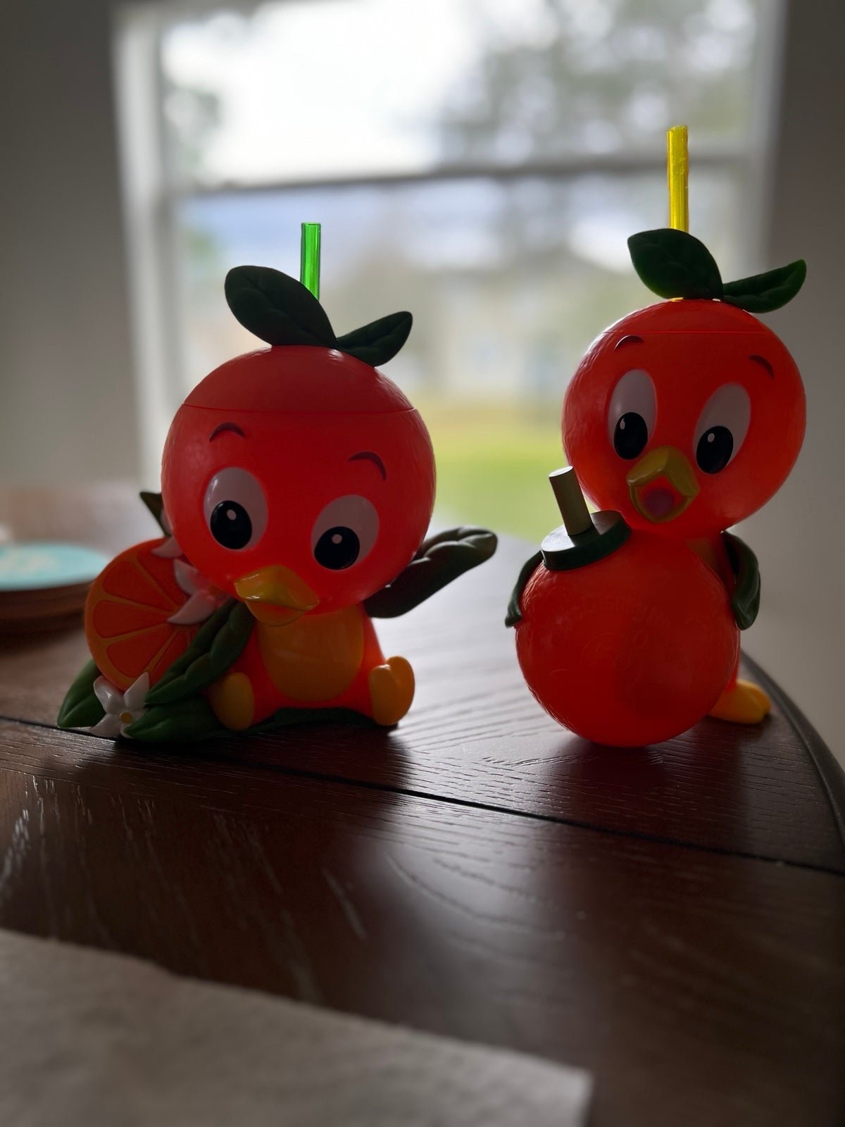 Orange Bird Sipper