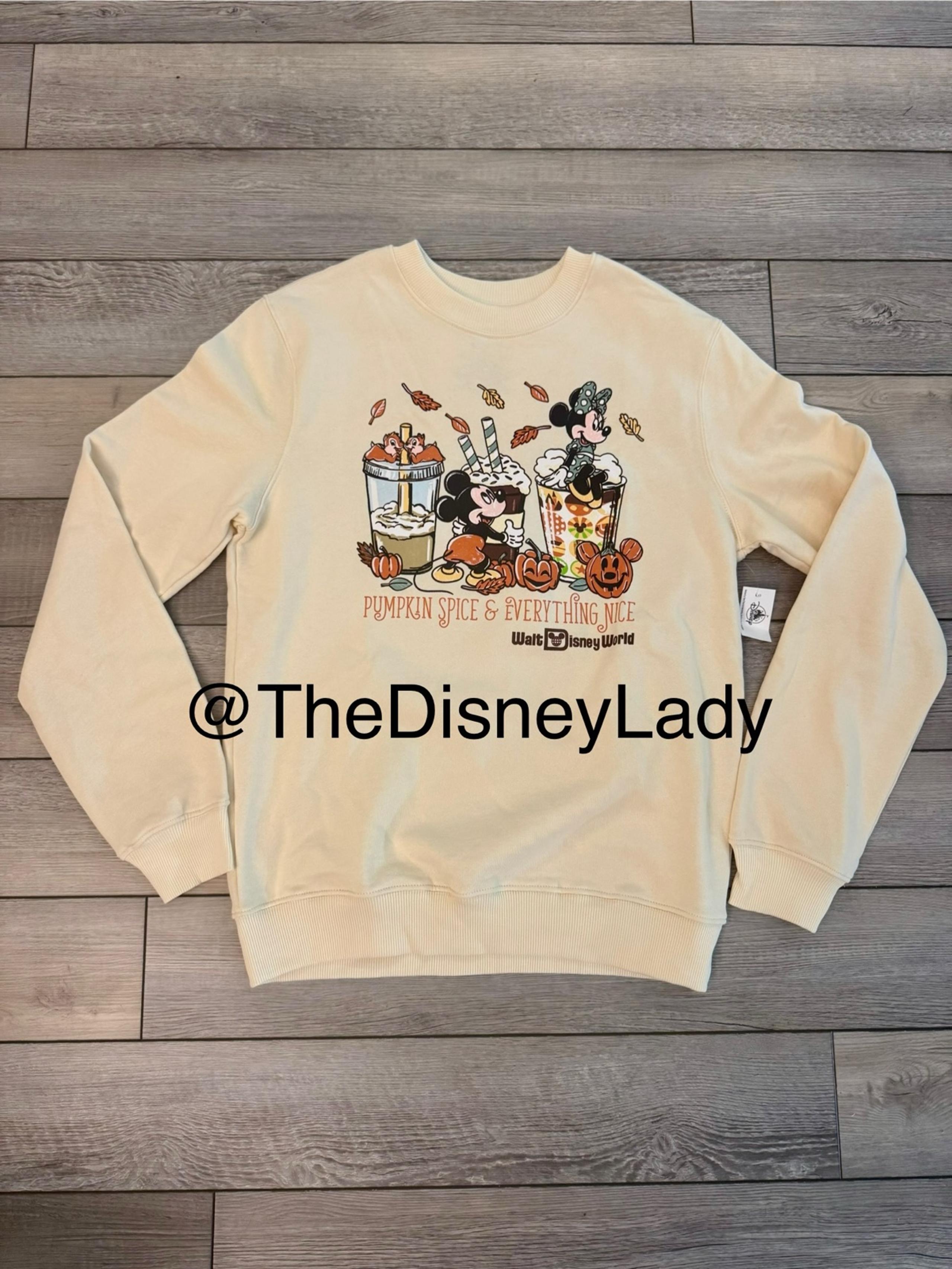 NEW! 2025 Disney World Halloween Pumpkin Spice & Everything Nice Sweatshirt | XL