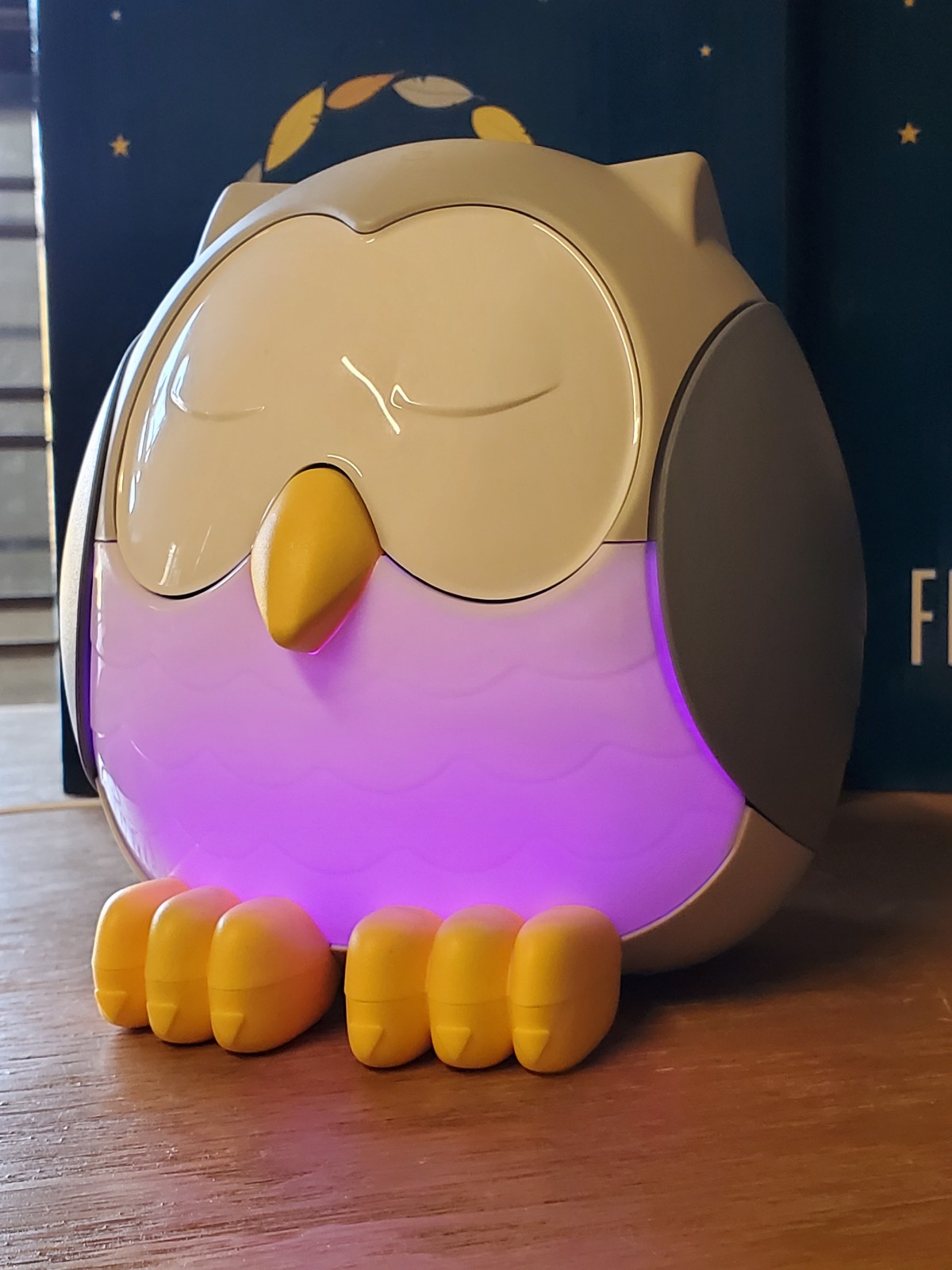 Owl diffuser with lights and sound