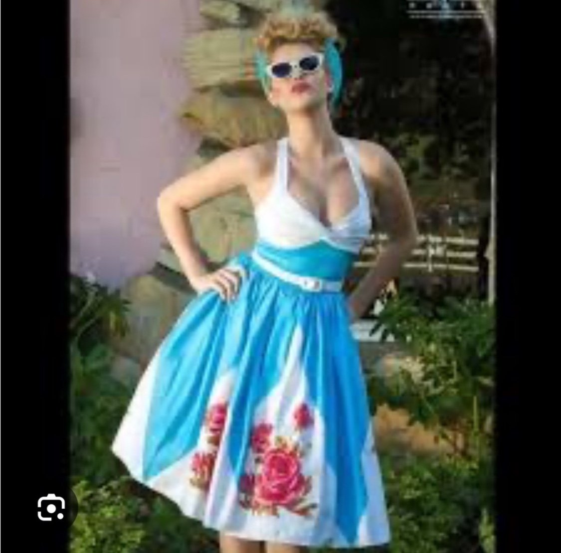 Pinup couture rose border Lydia dress