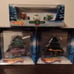 Hot wheels Holiday Cars Bundle