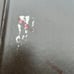 The Brave Little Tailor Hardcover OUT OF PRINT Olga Dugina Andrej Dugin