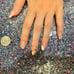 Handpainted Family Guy Press on Nails