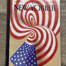 The New Yorker Magazine AMERICA
