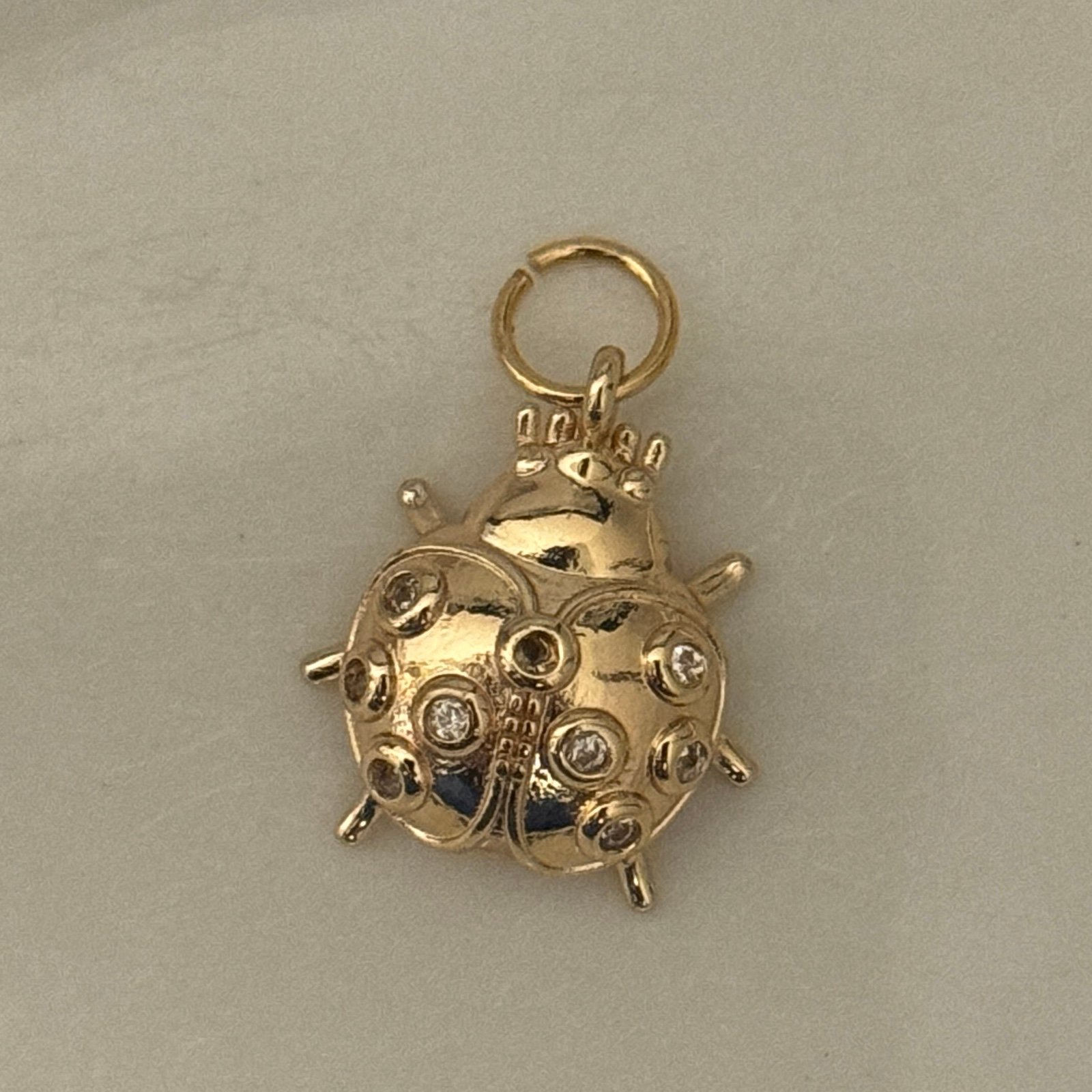 Ladybug Charm