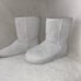 * LIMITED ADDITION * UGG Everlast Boots