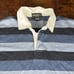 Polo Eddie Bauer