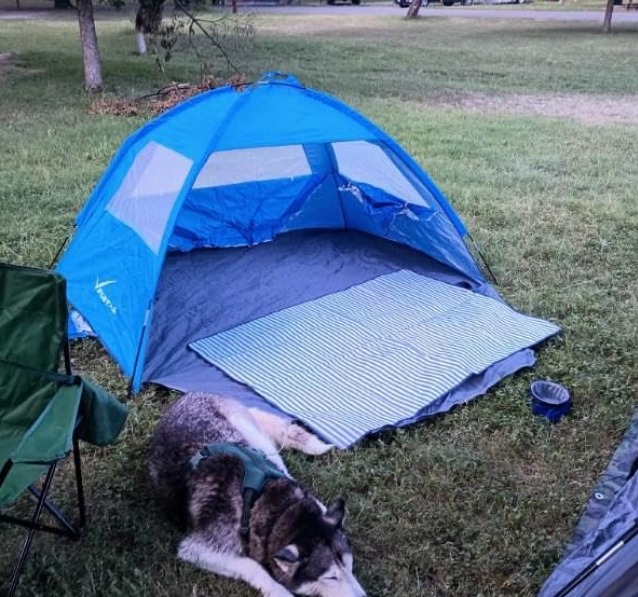 Beach Tent Sun Shelter for 3 Person, UPF 50+ UV Protection