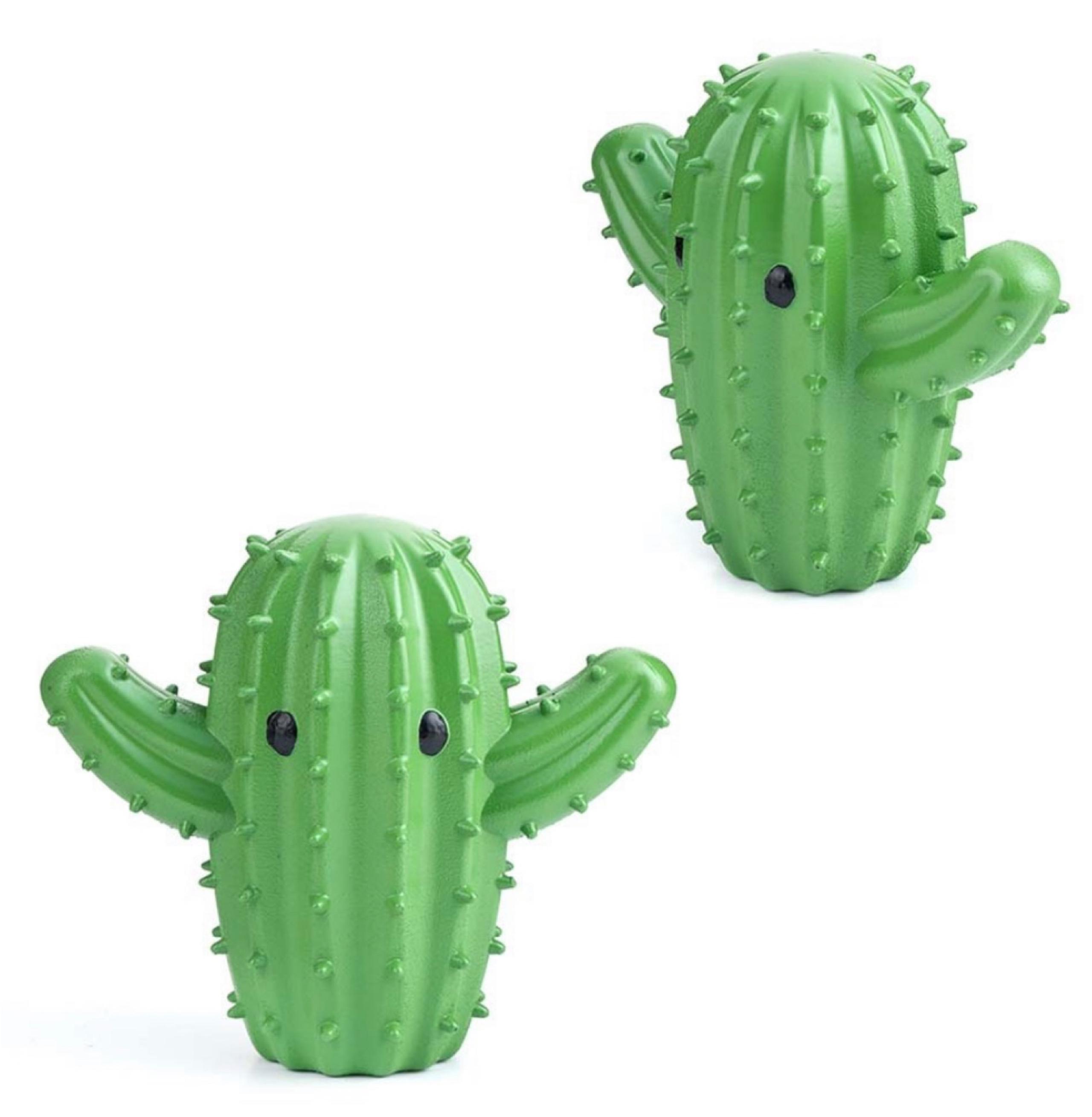 Green Cactus Dryer Buddy Set