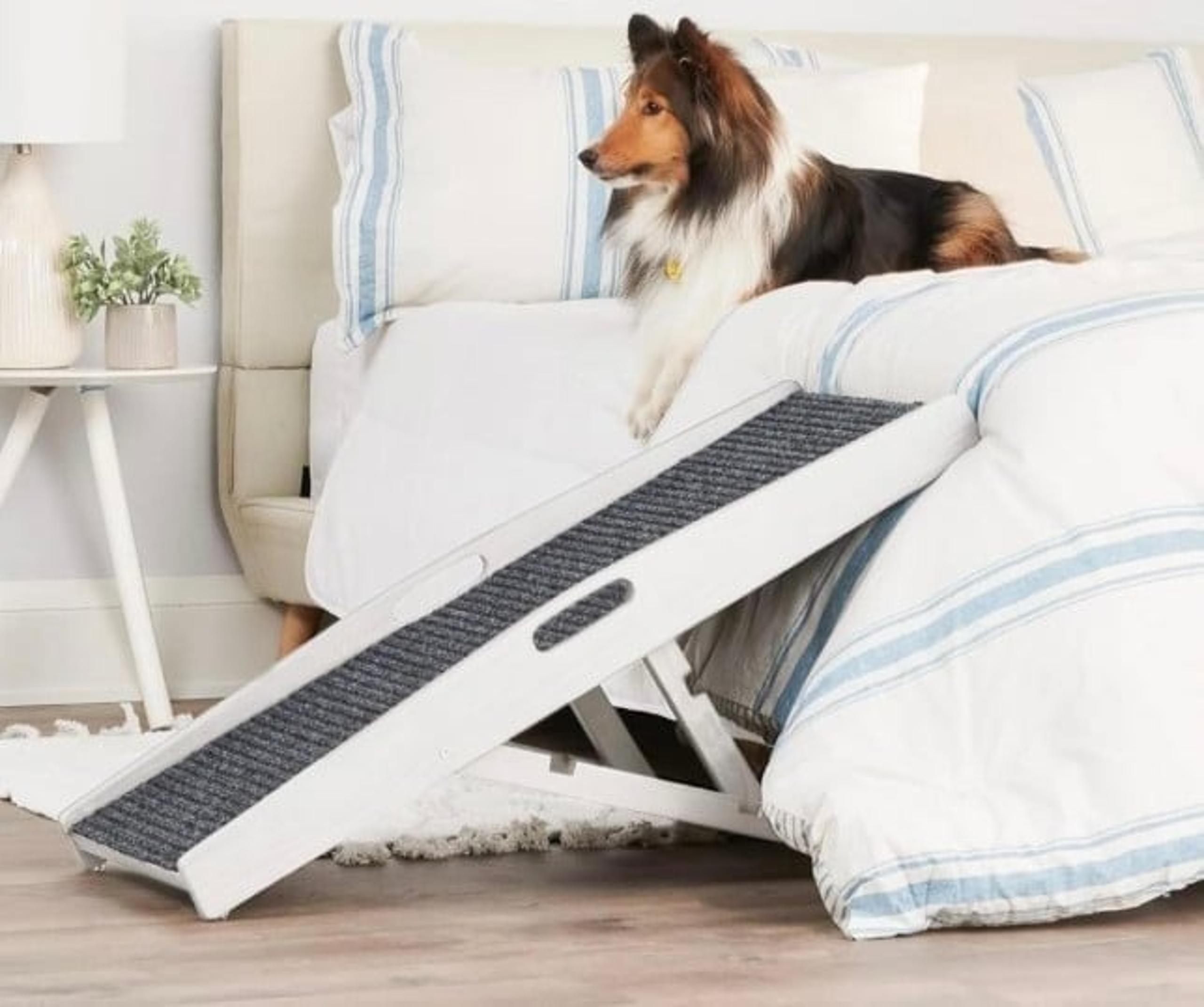 Carlson 39.5" Indoor Pet Ramp White Wood Carpet Collapsible Adjustable Height