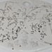 Constellation Oval Serving Cheese Plate By Salt And Earth For Anthropologie