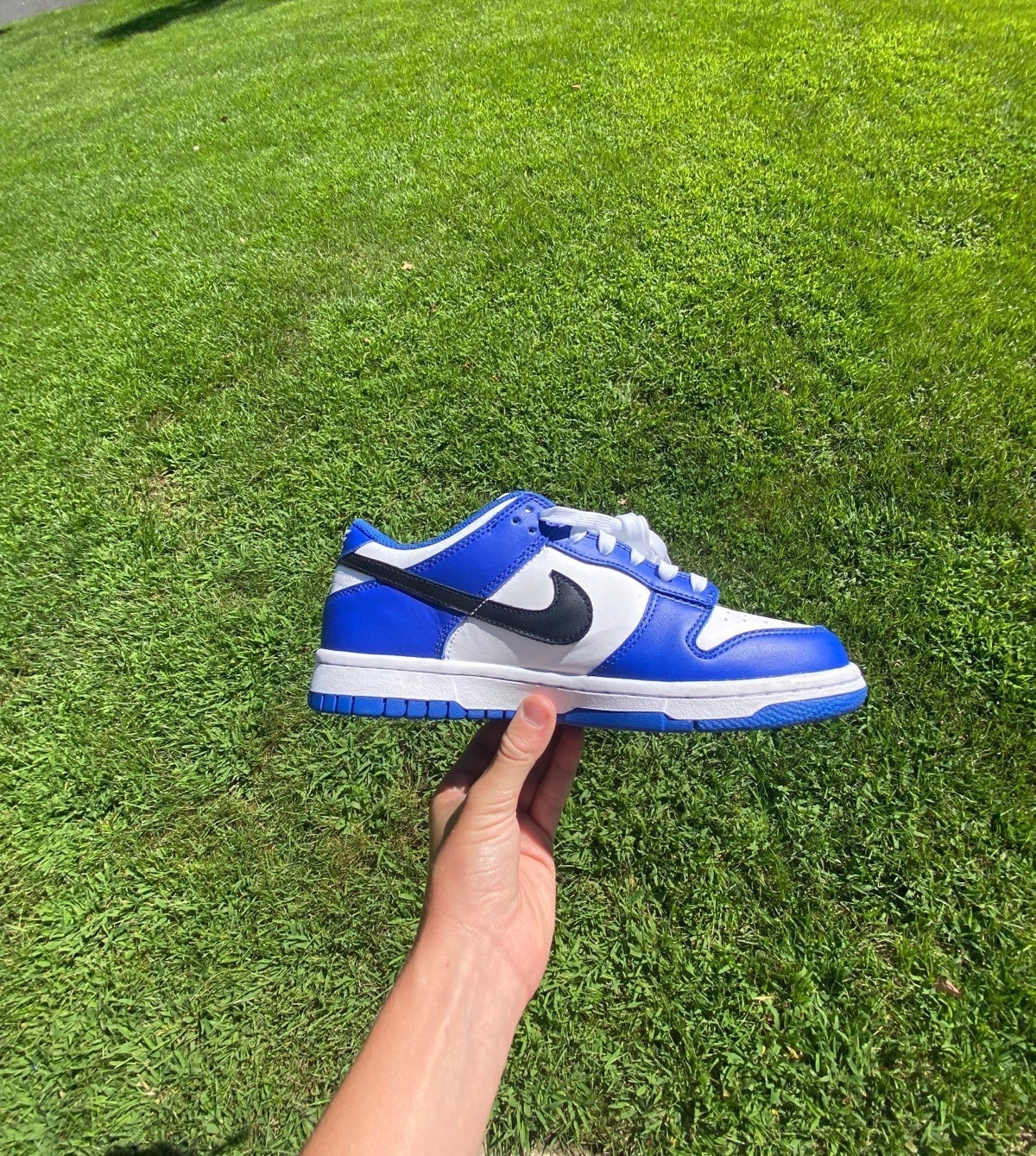 Dunk low chrimson