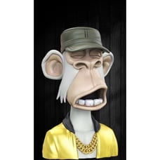 Eminem Bruce Bored Apes Yacht Club Bobblehead Bobble Head BAYC #9055 Rap Music