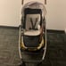 Papa, baby stroller cruz