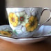 SALISBURY Fine Bone China “Coreopsis” - teacup and saucer