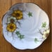 SALISBURY Fine Bone China “Coreopsis” - teacup and saucer