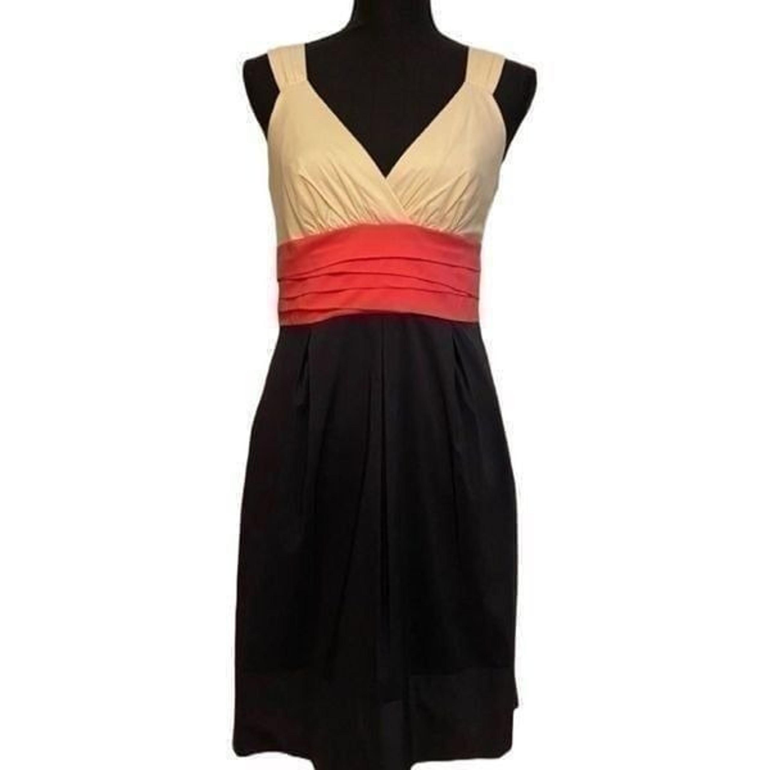 BCBGMaxAzria Color-block Shift Dress With Pockets SZ 4