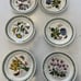Portmeirion Botanic Garden Side Plate