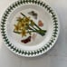 Portmeirion Botanic Garden Side Plate