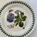 Portmeirion Botanic Garden Side Plate