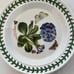 Portmeirion Botanic Garden Side Plate
