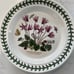 Portmeirion Botanic Garden Side Plate