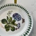 Portmeirion Botanic Garden Side Plate