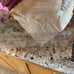 Longaberger vintage NWT Collectors Club 1997 Welcomd Home bskt combo