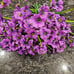 Bundles Artificial Flowers Outdoor Plants (Purple)
