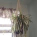 Handmade Hanging Plant Holder 35In 4Legs