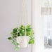 Handmade Hanging Plant Holder 35In 4Legs
