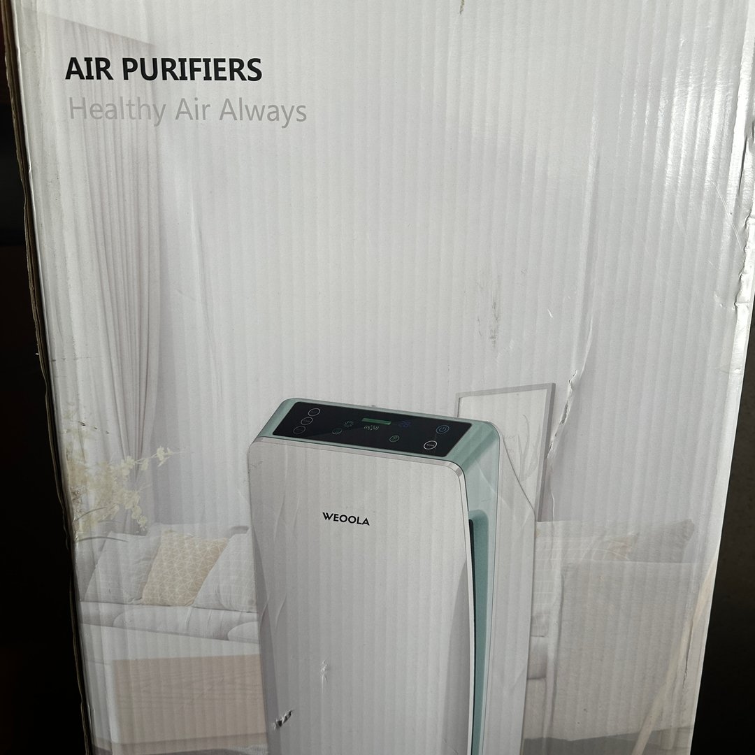 Weoola Air Purifier with Sleep and Anion Function